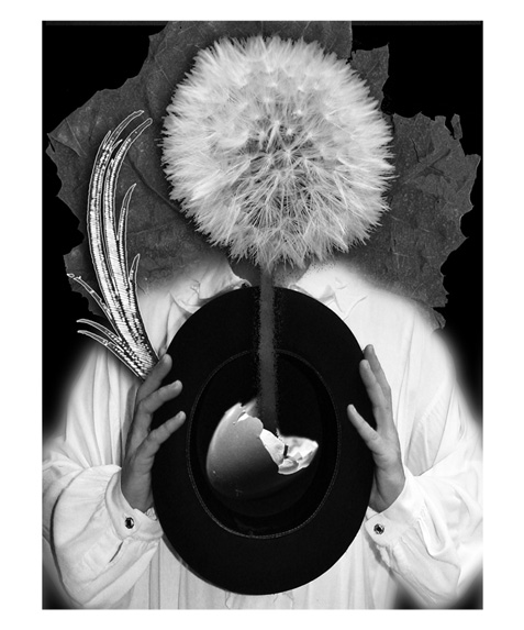 Plumage